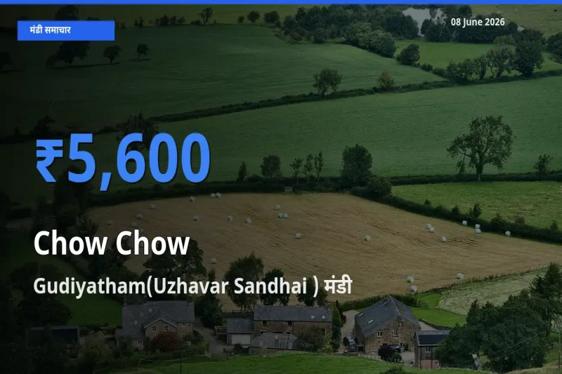 बाज़ार संकेत: Gudiyatham(Uzhavar Sandhai ) बना चाउ चाउ के लिए आज की टॉप मंडी