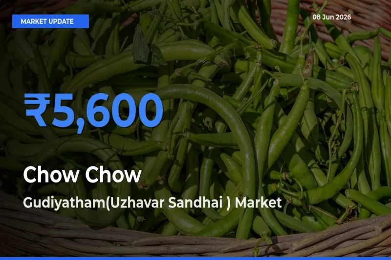 Gudiyatham(Uzhavar Sandhai ) Tops Chow Chow Rates – June 08 Market Update