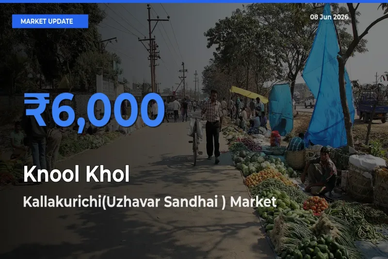 Kallakurichi(Uzhavar Sandhai ) Tops Knool Khol Rates – June 08 Market Update