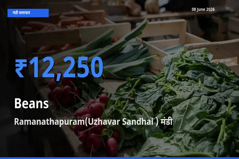 किसानों की पसंद बना Ramanathapuram(Uzhavar Sandhai ), फलियाँ (सेम) के सबसे अच्छे दाम