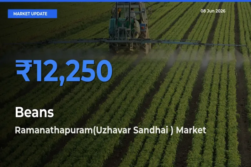 Ramanathapuram(Uzhavar Sandhai ) Records Highest ₹12,250 Rate for Beans