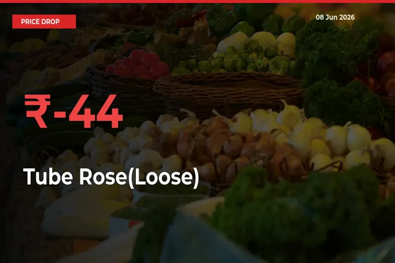 Tube Rose(Loose) Falls 44.19% at Mandis