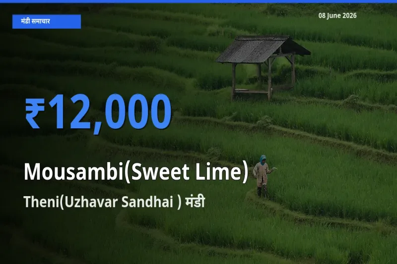 Theni(Uzhavar Sandhai ) में मौसंबी का आज सबसे ऊँचा भाव
