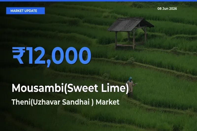 Market Watch: Theni(Uzhavar Sandhai ) Becomes Top Mandi for Mousambi(Sweet Lime)