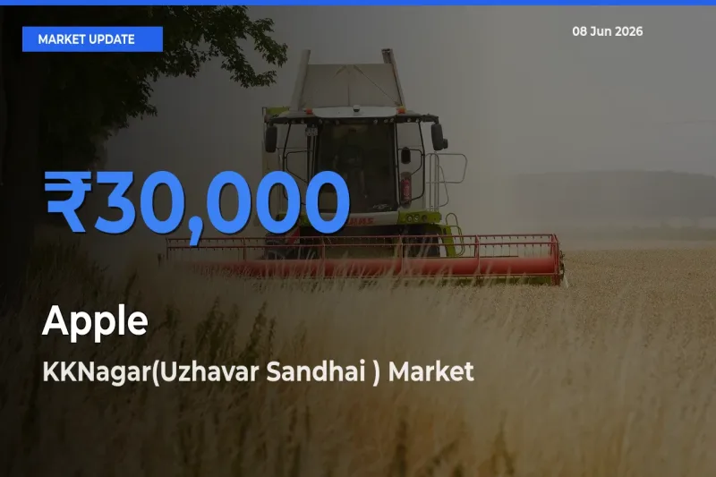 Farmers Prefer KKNagar(Uzhavar Sandhai ) as Apple Hits Highest Rate