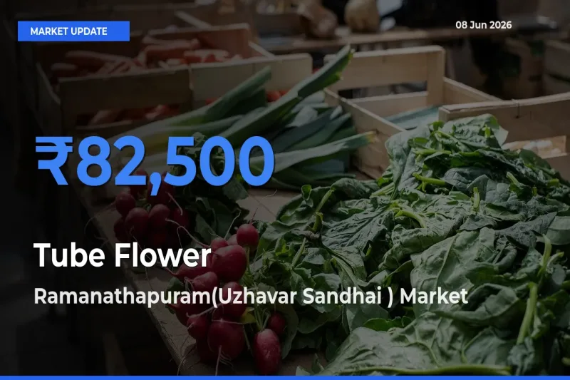 Farmers Prefer Ramanathapuram(Uzhavar Sandhai ) as Tube Flower Hits Highest Rate