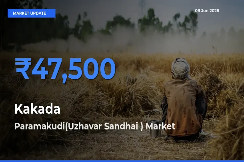 Paramakudi(Uzhavar Sandhai ) Tops Kakada Mandi Rates Today