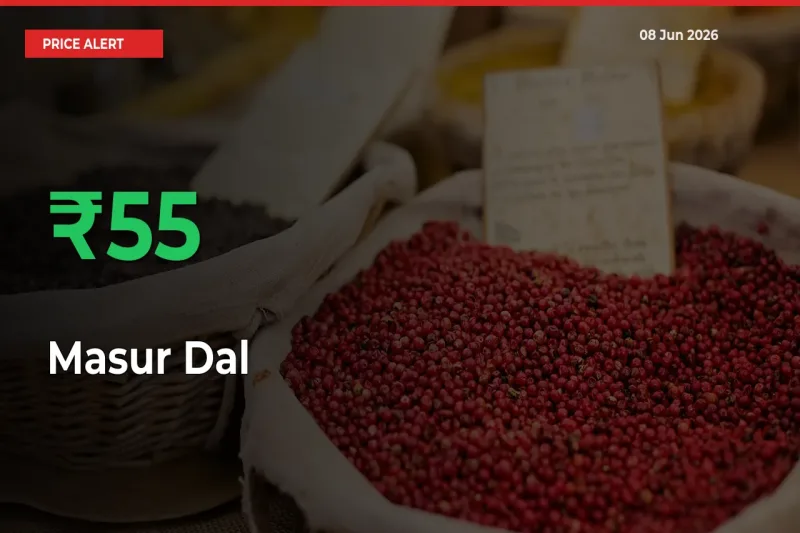 Sharp Jump! Masur Dal Prices Climb 54.92% in 24 Hours at Key Mandis