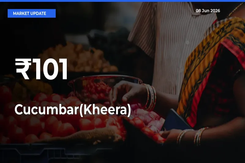 Cucumbar(Kheera) Prices Gain Momentum Across 101+ Mandis – Market Trend Strengthens