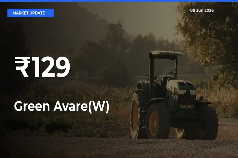 Green Avare(W) Prices Trend Across 129+ Mandis – Market Direction Turns Clear