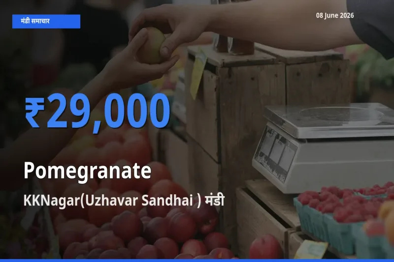 किसानों की पसंद बना KKNagar(Uzhavar Sandhai ), अनार के सबसे अच्छे दाम