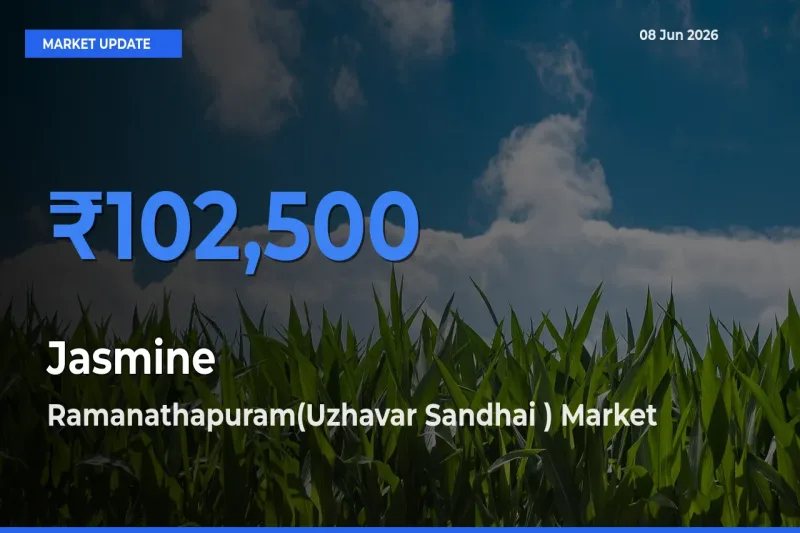 Ramanathapuram(Uzhavar Sandhai ) Tops Jasmine Mandi Rates Today