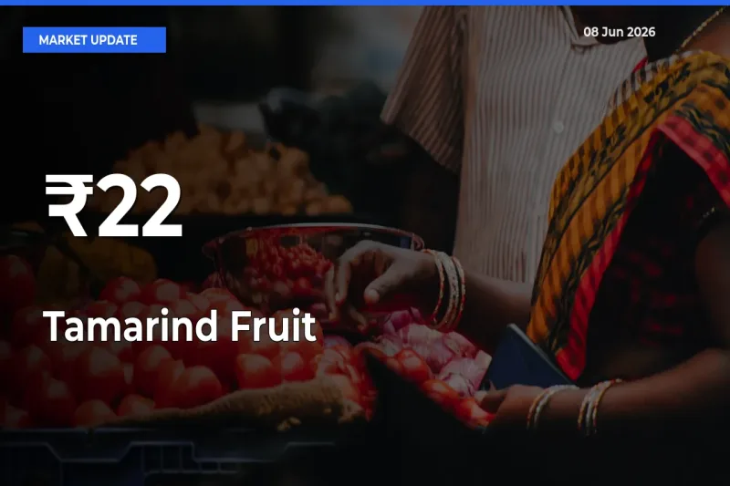 Tamarind Fruit Prices Trend Across 22+ Mandis – Market Direction Turns Clear