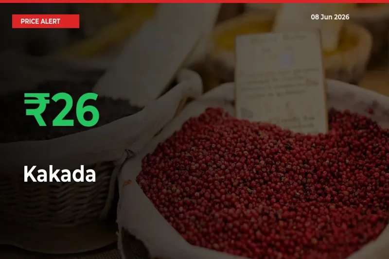 Big Rally! Kakada Climbs 25.54% in 24 Hours at Top Mandis