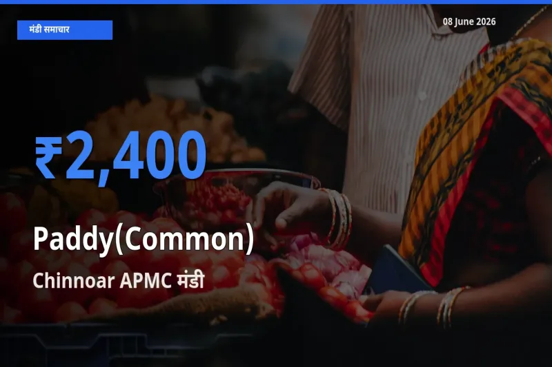 किसानों की पसंद बना Chinnoar APMC, धान (सामान्य) के सबसे अच्छे दाम