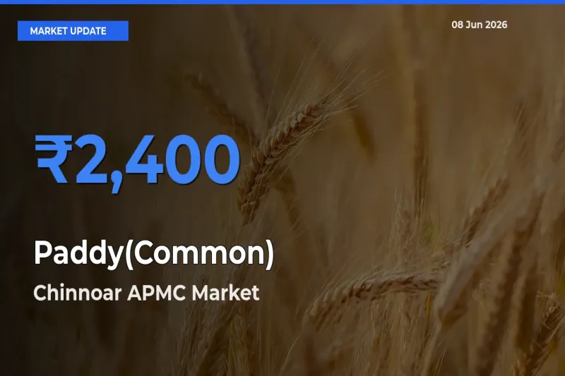 Chinnoar APMC Tops Paddy(Common) Mandi Rates Today