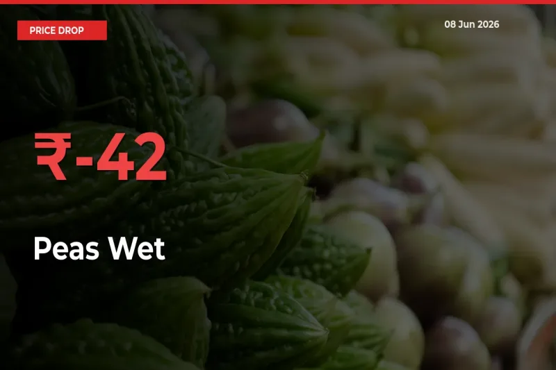 Sudden Shock! Peas Wet Drops 42.42% in 24 Hours at Top Mandis