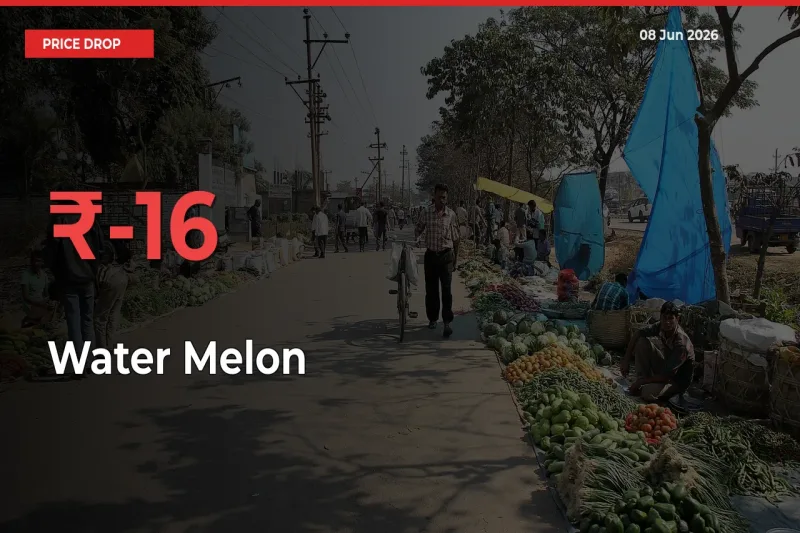 Water Melon Falls 16.27% at Mandis