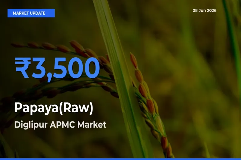 Diglipur APMC Records Highest ₹3,500 Rate for Papaya(Raw)