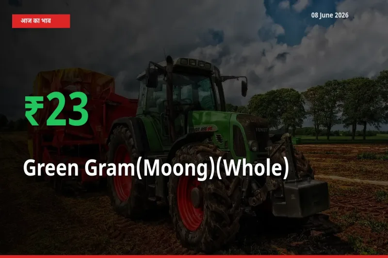 आज का मंडी भाव: साबुत मूंग के दाम मंडी में 22.88% ऊपर