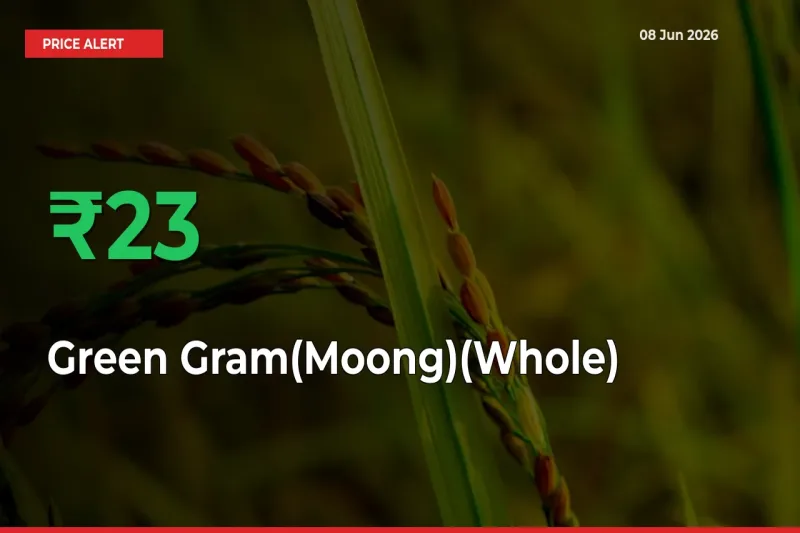 Green Gram(Moong)(Whole) Prices Rise 22.88% in a Day at Major Mandis