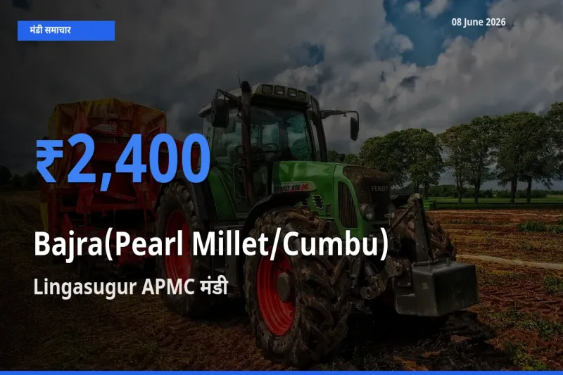 Lingasugur APMC मंडी में आज बाजरा (मोती बाजरा/कंबू) के सबसे ऊँचे दाम दर्ज