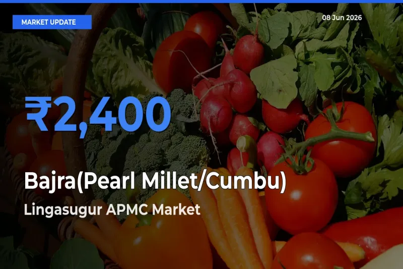 Lingasugur APMC Tops Bajra(Pearl Millet/Cumbu) Mandi Rates Today