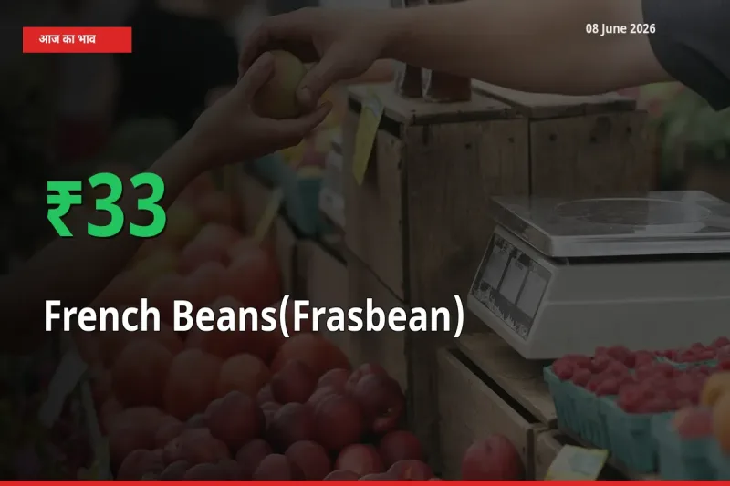 स्थानीय मंडी में फ़्रेंच बीन्स (फ़्रासबीन) के दाम अचानक 33.19% उछले, किसान सतर्क