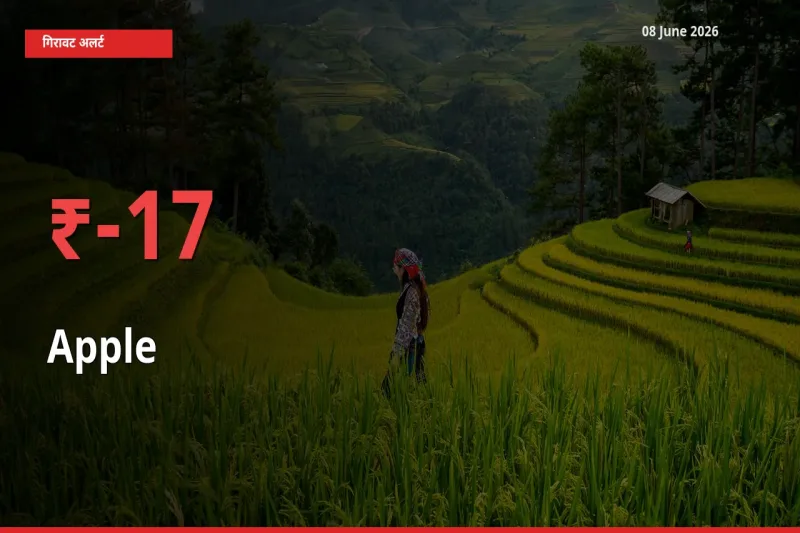 आज का मंडी भाव: सेब के दाम मंडी में 17.15% नीचे