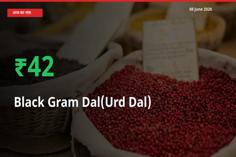 आज का मंडी भाव: उड़द दाल के दाम मंडी में 42.46% ऊपर