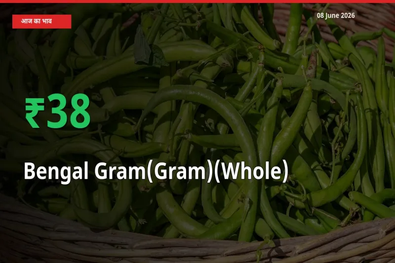 अचानक तेजी! मंडी में चना (साबुत) के दाम 38.05% चढ़े