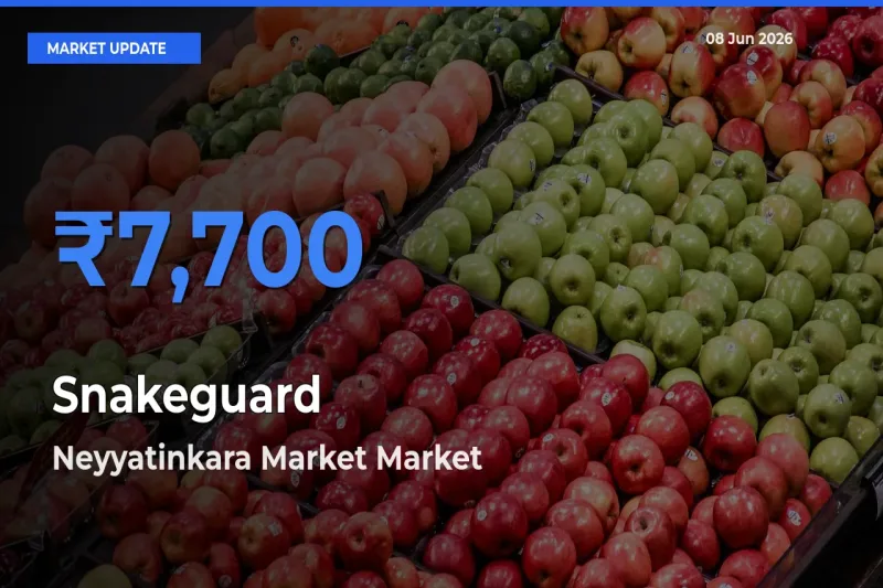 Snakeguard Mandi Rate Today: Neyyatinkara Market Tops the List