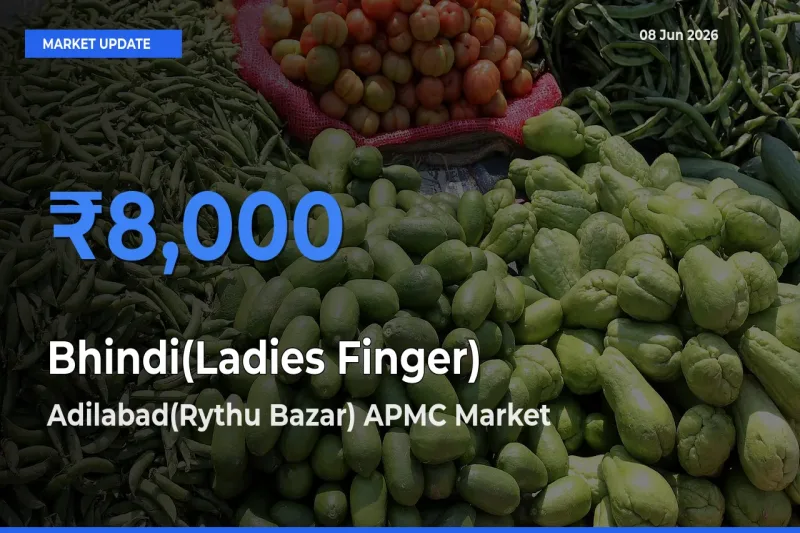 Bhindi(Ladies Finger) Mandi Rate Today: Adilabad(Rythu Bazar) APMC Tops the List