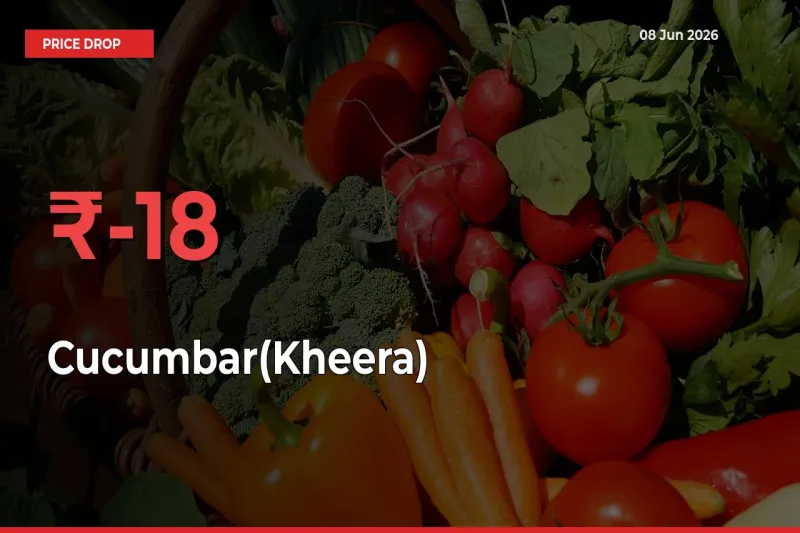 Sudden Shock! Cucumbar(Kheera) Drops 17.58% in 24 Hours at Top Mandis