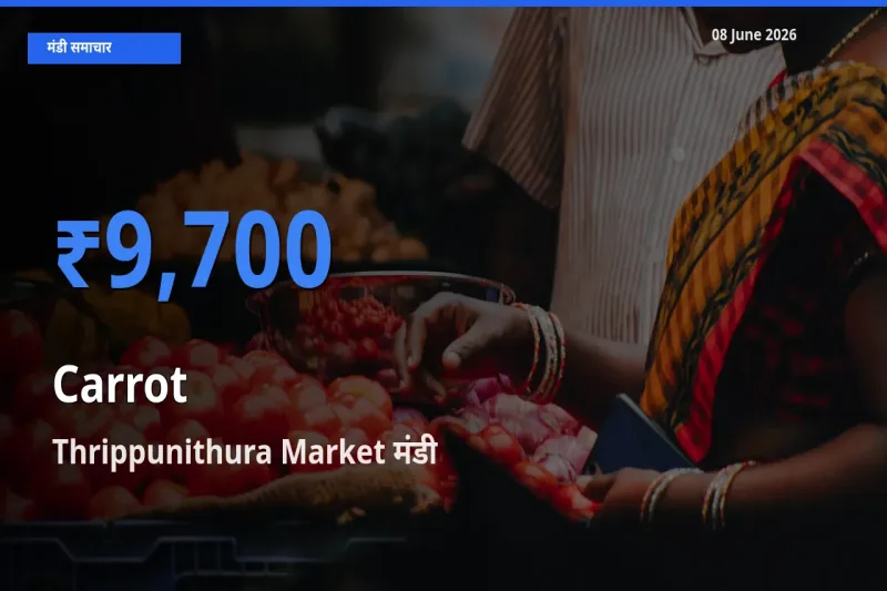 Thrippunithura Market मंडी में आज गाजर के सबसे ऊँचे दाम दर्ज