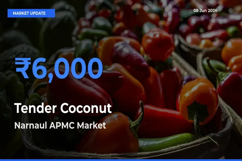 Narnaul APMC Records Highest ₹6,000 Rate for Tender Coconut