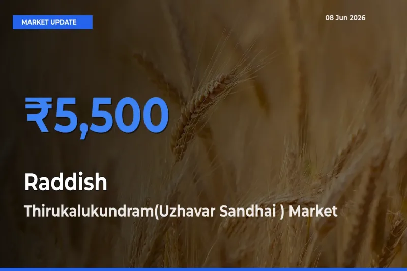 Thirukalukundram(Uzhavar Sandhai ) Tops Raddish Rates – June 08 Market Update