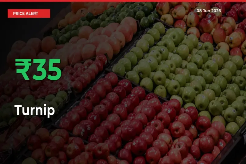 Sudden 34.53% Rally in Turnip Prices Across Mandis