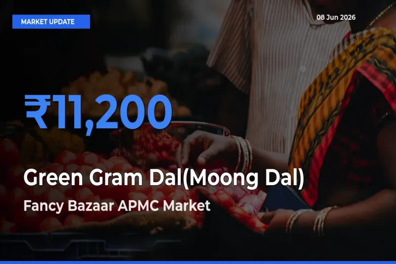Market Watch: Fancy Bazaar APMC Becomes Top Mandi for Green Gram Dal(Moong Dal)