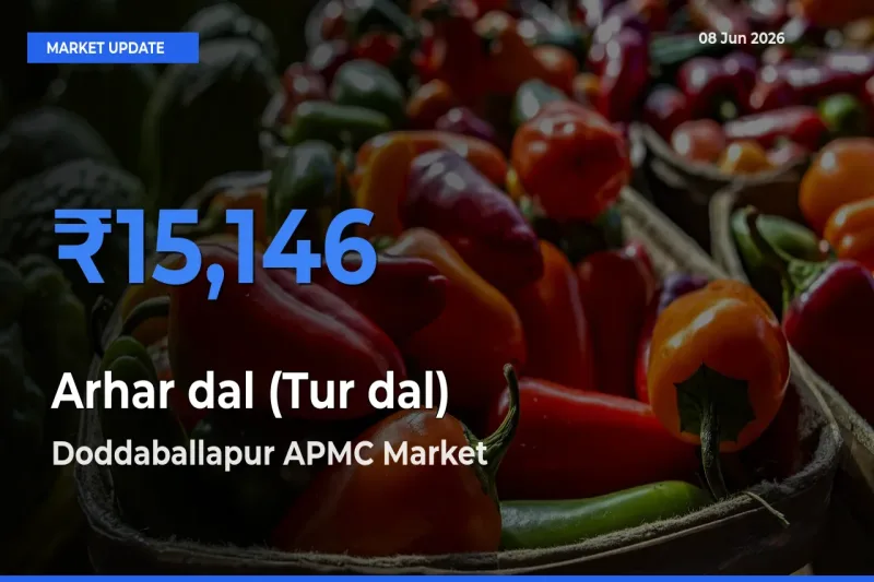 Farmers Prefer Doddaballapur APMC as Arhar dal (Tur dal) Hits Highest Rate