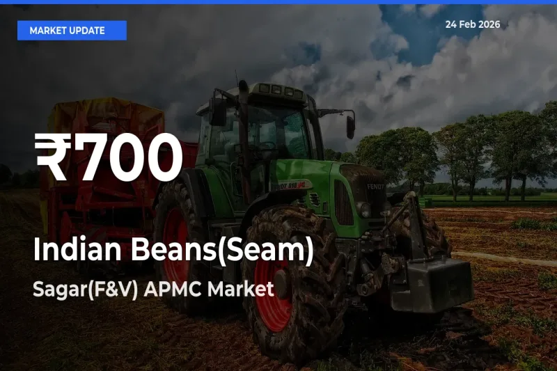 Why Indian Beans(Seam) Prices Slumped in Sagar(F&V) APMC – 30-Day Low Today