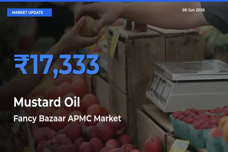 Fancy Bazaar APMC Emerges as Top Mandi for Mustard Oil Prices Today