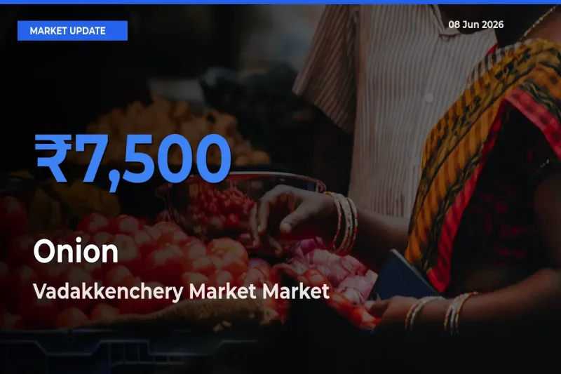 Market Watch: Vadakkenchery Market Becomes Top Mandi for Onion