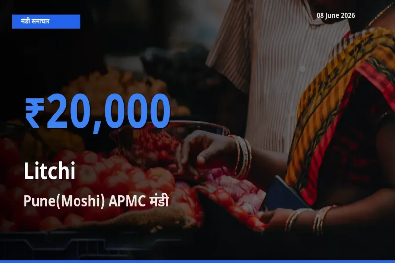 बाज़ार संकेत: Pune(Moshi) APMC बना लीची के लिए आज की टॉप मंडी