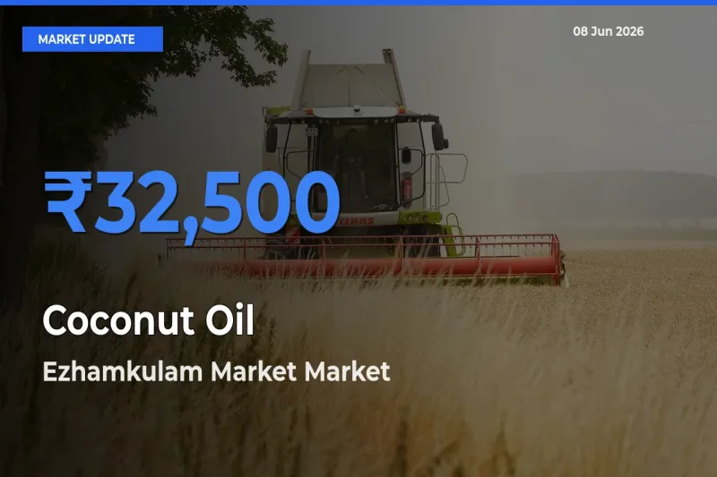 Ezhamkulam Market Records Highest ₹32,500 Rate for Coconut Oil