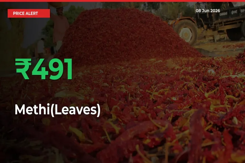 This Mandi Records 490.88% Jump in Methi(Leaves) Prices