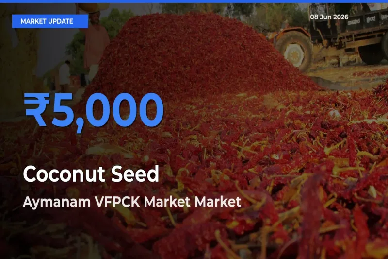 Aymanam VFPCK Market Tops Coconut Seed Rates – June 08 Market Update
