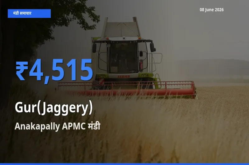 Anakapally APMC मंडी में गुड़ ₹4,515 पर पहुँचा – आज का सर्वोच्च भाव