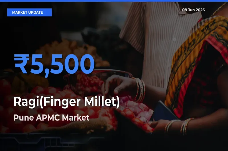 Pune APMC Emerges as Top Mandi for Ragi(Finger Millet) Prices Today
