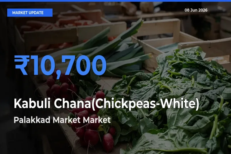 Palakkad Market Leads as Top Mandi for Kabuli Chana(Chickpeas-White) Prices